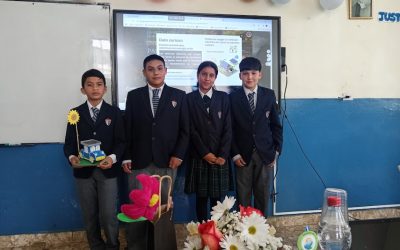 Programa de Participación Estudiantil 2025